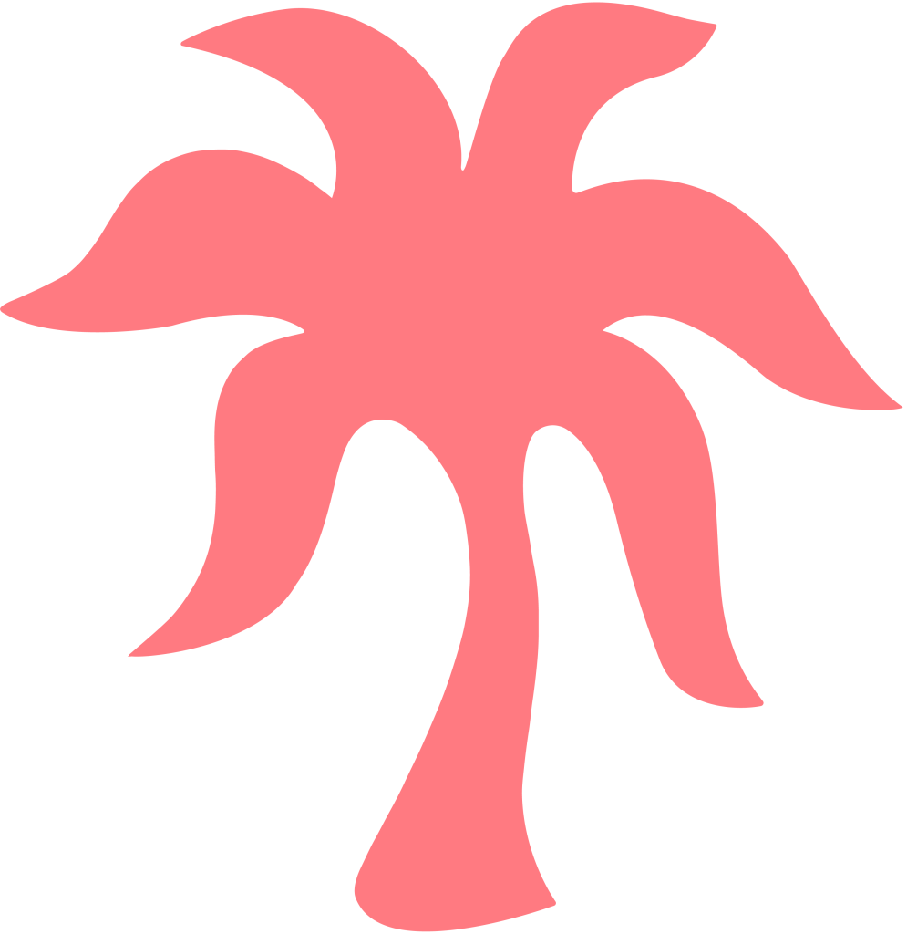 PALMPUFFHOODIE